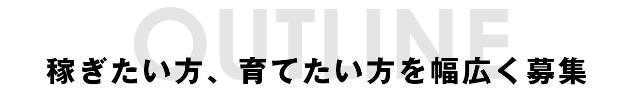 稼ぎたい方、育てたい方を幅広く募集